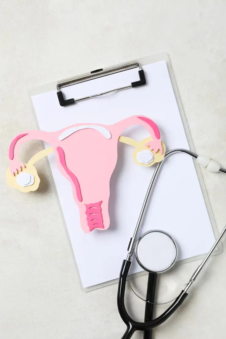 women-s-health-women-s-healthcare-concept-with-uterus_185193-108839